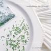 Arte de Uñas Diamantes Redondos Pequeños Coloridos Mezclados Lavables No se Caen Base Caliente Malla de Base Lavable Mezcla de Diamantes Planos Coloridos Adornos de Diamantes para Uñas