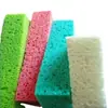 Esponja hidratante al por mayor masajeador eléctrico biológico de belleza algodón de pulpa de madera hidratante esponja absorbente para limpieza del hogar y lavado de platos