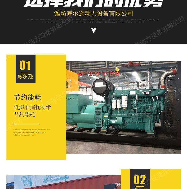 潍柴250千瓦发电机组_04.jpg
