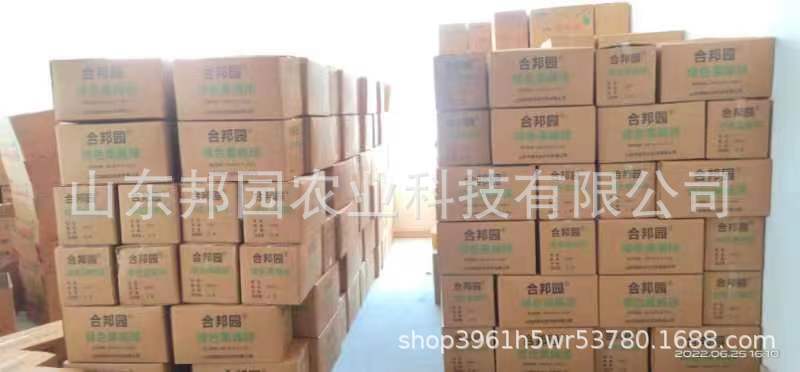 果蝇球1.jpg