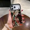 Animación Japonesa y Coreana Adecuada para Funda de Teléfono Móvil Iphone17 Apple 16Promax Nicho 14 Transfronterizo 15Pro Elegante 13