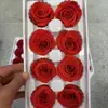 Flor de Rosa Eterna, Regalo de Flor de Rosa, Material de Flor para Manualidades de 1-6 cm Grado B Cubo de Abrazos de Flor Eterna para DIY, Flores Reales Conservadas