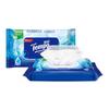 Debao papel higiênico molhado doméstico lavável toalhetes de água pura para homens e mulheres Partes Privadas 40 peças papel higiênico molhado portátil