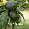 Óleo Essencial Xiaoqinggan da China Plantas Europeias Naturais Seleção Global de Fornecedores e Atacadistas de Matéria-Prima de Óleo Essencial de Plantas Naturais