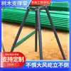 Abrazadera para Tubería de Acero Galvanizado Color Pintura Horneada Verdor Soporte para Poste de Jardinería Fijador a Prueba de Viento Metal Poste Grande Marco de Soporte para Árbol