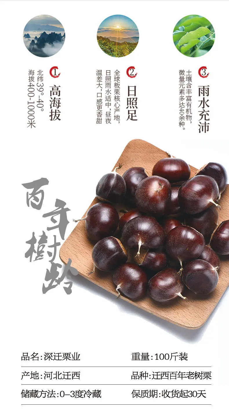 新老树_05.jpg