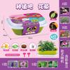 Caja sorpresa mini de plantación para niños, flores y verduras, plantas en maceta de observación DIY, jardín de infantes, ciencia y educación, Regalos, Venta al por mayor