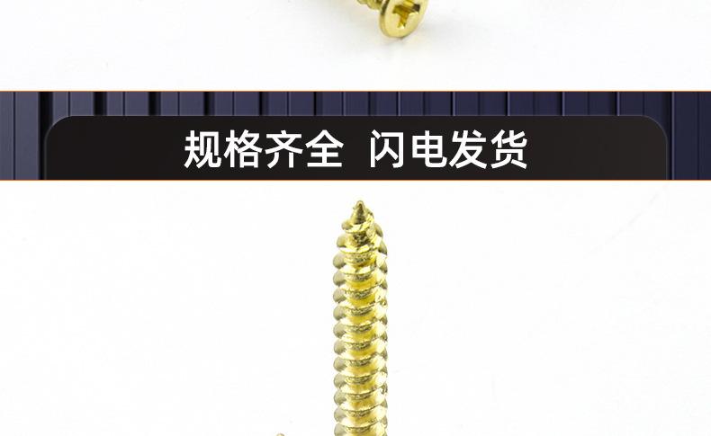 304不锈钢镀金色十字沉头自攻螺丝_03_19.jpg