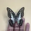 Venta Directa al Por Mayor de Fábrica de Especímenes Reales de Mariposas con Alas Extendidas, Diversos Insectos y Escarabajos, Accesorios para Fotos, Educación Científica, Especímenes Naturales