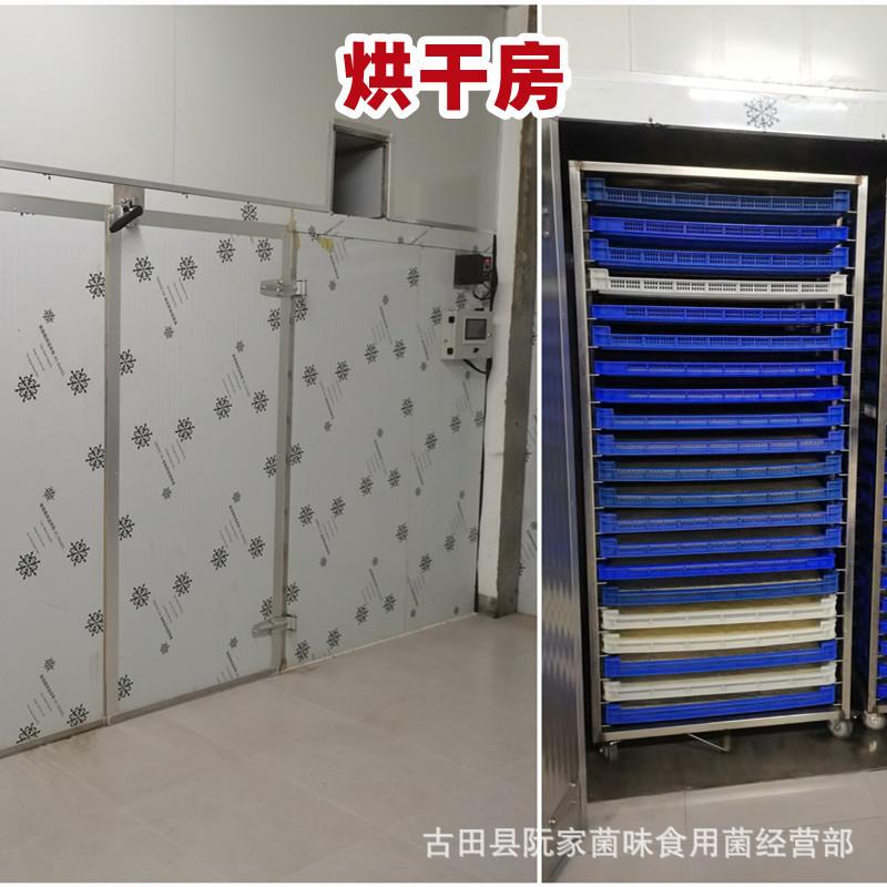 f7817d28df2802b60936269b248c2c