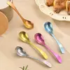 Cuchara de Titanio Puro, Cuchara de Flor de Hielo de Gama Alta, Cuchara de Café, Cuchara de Mesa para el Hogar, Cuchara para Condimentos, Vajilla para Acampar al Aire Libre, Cuchara para Sopa