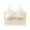 Camisola Sexy de Encaje Transfronteriza Más Vendida para Mujer con Copas Fijas, Capa Interior de Satén, Transpirable, Sensación de Piel, Push-Up, Sujetador Anticaída