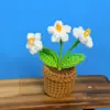 Novo Produto Transfronteiriço: Flores de Lã Feitas à Mão, Planta em Vaso Miosótis, Decoração de Presente, Planta em Vaso de Flor Artificial Crochê de Lã