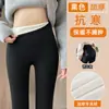 Pantalones de tiburón de cintura alta para mujer, nueva colección de otoño 2026, adecuados para usar al aire libre, realzan los glúteos, yoga, grises, fitness, ajustados, talla grande, para mujeres con curvas, leggings