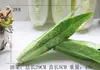 Frutas y verduras de simulación modelo anti-real adornos fotografía accesorios de fotografía mobiliario decoración de interiores fruta falsa de plástico