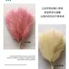 Hierba de pampa artificial corta de seis puntas transfronteriza flor de simulación en stock decoración del hogar pluma de simulación accesorios de boda al por mayor