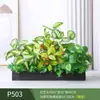 Paisagismo com Plantas Verdes Simulação Floreira Divisória de Piso Arte Floral de Chão Paisagem de Plantas Combinação de Floreira Flor Artificial em Vaso Bonsai Decoração