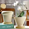 Vaso de Cerâmica para Flores com Prato, Estilo Ins de Luxo Leve, Diâmetro Grande, Estilo Creme, para Orquídeas e Suculentas, Liquidação