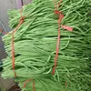Sementes de Feijão-Vagem Pequeno de Cinco Folhas Feijão-Vagem Cowpea Pequeno de Folha Pequena de Jiangxi Feijão-Vagem Espesso de Carne 10g Embalagem de Cor Original Sementes de Hortaliças para Atacado