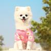 Roupas de Passeio para Cães e Gatos para Primavera, Verão e Outono, Suprimentos para Pets, Roupas da Moda de Manga Curta para Cachorros Teddy, Bichon, de Porte Pequeno e Médio