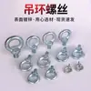 Atacado de fábrica anel de rosca anel de porca galvanizado eletroliticamente anel marinho forjamento de matriz porca de várias especificações parafuso