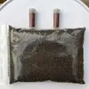 Acuario Ecológico Acuario Hierba Acuática Micro Paisaje a Hoja Huevo de Dragón Vidrio Planta Verde diy Pequeño Hidropónico Casero de Escritorio
