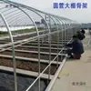 Galpão de ovelhas estufa vegetal isolamento criação de galinhas curral estufa doméstica estrutura de estufa galpão de plantio estufa trigo integral Taibao