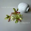 3 cabezas de flores artificiales de lirio de rocío, kit de materiales para manualidades, accesorios para el cabello, coronas de flores, accesorios para decoración de paredes, venta al por mayor transfronteriza.