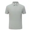 Camisa Polo de Manga Corta para Hombre, Verano, Delgado, Seda de Hielo, Gama Alta, Casual de Negocios, Elástica, Cuello Camisero, T-Shirt, Talla Regular