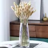 Ins Buquê Flor Decoração de Casa Sala de Estar Enfeites Galhos Secos Arranjo de Flores Capim Rabo de Coelho Capim Rabo de Cachorro Flor Seca Flor Artificial