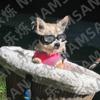Suministros para mascotas, gafas para gatos, gafas de sol para perros de Amazon, gafas de sol de verano con protección UV, venta al por mayor de fábrica