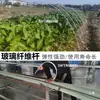 Soportes de Varilla de Fibra de Vidrio para Invernadero para Plántulas de Verduras y Flores, Aislamiento, Sombreado y Mallas a Prueba de Insectos, Varillas Sólidas de Fibra de Vidrio