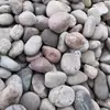 Adoquín Natural Especial para Transformadores 5-8 cm Paisajismo de Patio Adoquinado Piedra de Orilla de Río Material Filtrante Adoquín de Río Venta al por Mayor