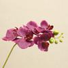 Lan Kwai Fong Sensación de Alta Gama Humectante Flor Artificial de Orquídea Phalaenopsis Decoración de Mesa de Comedor Sala de Estar Flor Falsa Venta al Por Mayor