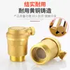 Válvula de Escape Automática de Latón para Tubería de Calentamiento de Agua del Grifo Doméstico Válvula de Escape Vertical 4 Puntos 6 Puntos 1 Pulgada Dn25Dn20