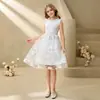 Vestido de princesa de malla bordada para niñas transfronterizo, nuevo estilo de verano, simple y lindo, vestido sin mangas de encaje para anfitriona