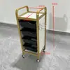 Novo Carrinho de Cabeleireiro, Carrinho de Ferramentas para Salão de Beleza, Carrinho de Cabeleireiro Multifuncional, Carrinho para Permanente e Coloração de Barbearia, Carrinho de Armazenamento