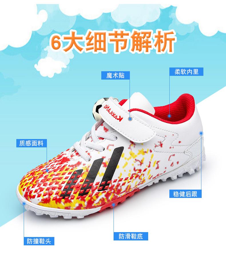 版面 (15).jpg