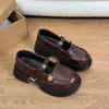 Zapatos Mary Jane de suela gruesa para mujer, nueva colección otoño 2026, estilo retro, perfectos con faldas, estilo preppy, estilo JK japonés