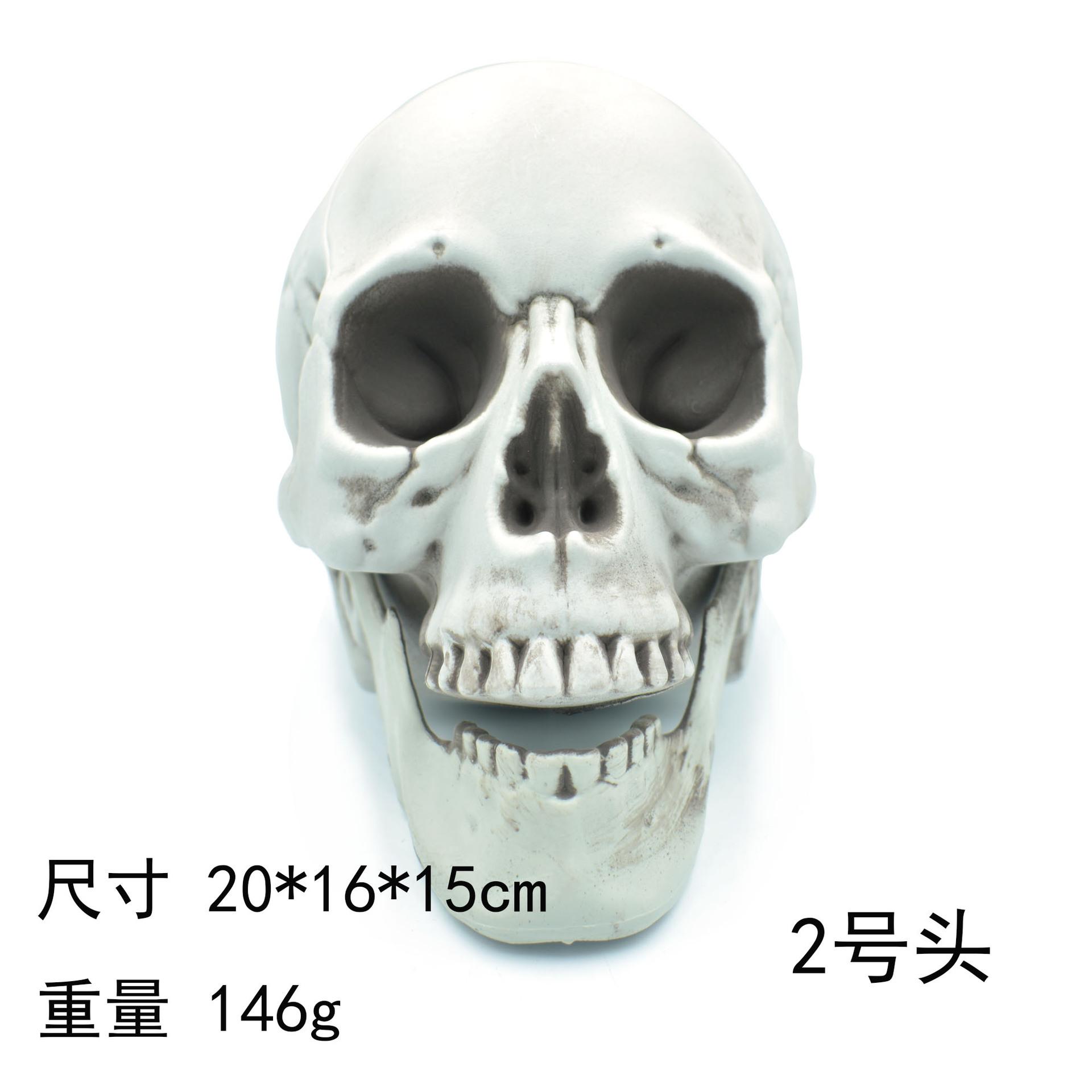 2号头