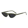 Nuevas Gafas de Sol Cat-Eye Retro Pequeñas de Moda Ins Moda Casual Simples para Exteriores Fotografía Callejera Gafas de Sol