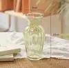 En Stock Wholesale Simple y Lujoso Estilo Ins Vintage Mini Jarrón Hidropónico Planta Verde Decoración del Hogar Adorno para Sala de Estar Botella de Vidrio
