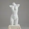 Expositor de modelos de lingerie manequim meio-corpo masculino e feminino loja de lingerie sutiã sutiã manequim corpo inteiro calcinha modelo de quadril adereços
