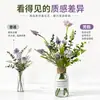 Transfronterizo Nuevo Modelo Lavanda Artificial Fruta Vidrio Falso Agua Decoración para el Hogar Artículos Planta Verde Artificial en Maceta Flores Falsas Adornos de Escritorio