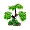 Decoração de Enfeite de Mesa Pinheiro Bem-vindo Pequeno Pinheiro Plantas Verdes Plantas Aquáticas Mini Rochedo Aquário Paisagismo Hotel