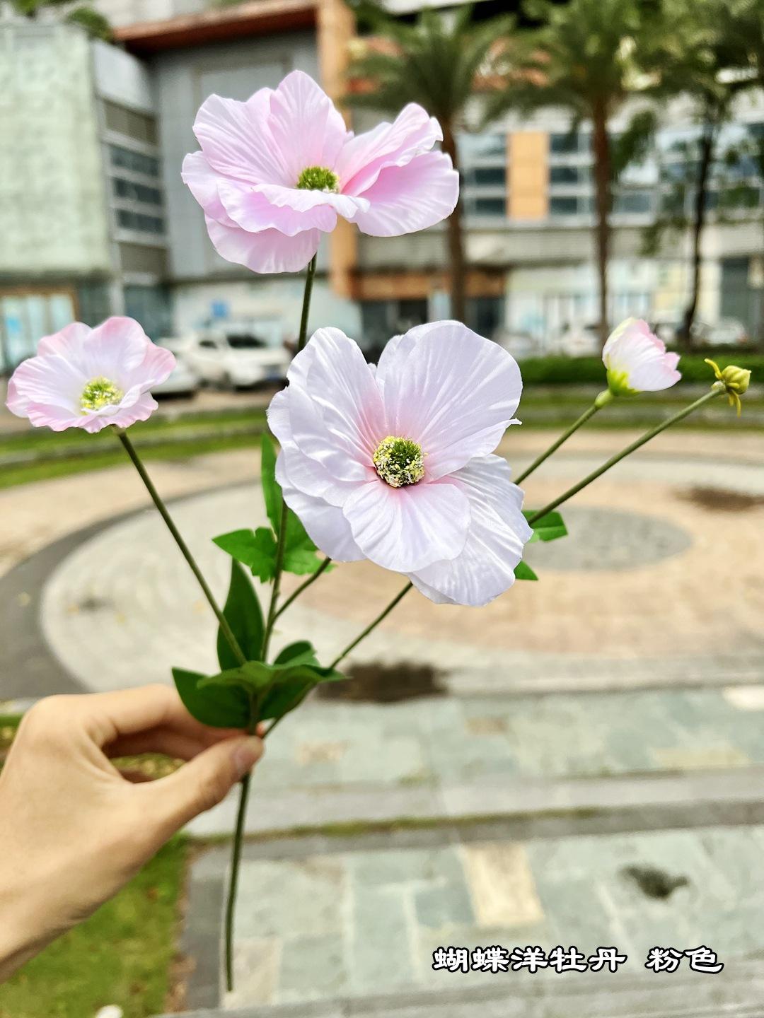 微信图片_20220419092228.jpg
