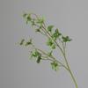 Taobao Tmall fornecimento atacado loja de decoração para casa planta de simulação floral folha verde simulação madeira ébria relógio de parede folha