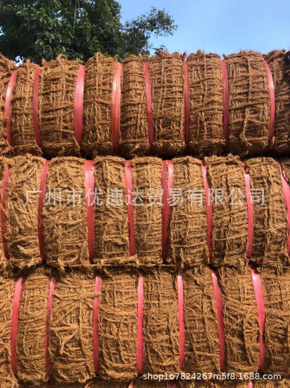 椰网c (1).jpg