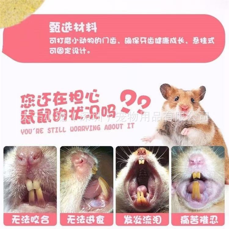 微信图片_20241014180905.jpg