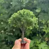 Modelo de Árbol Frutal Miniatura Árbol de Alambre Hecho a Mano DIY Escena de Granja de Arenero Figura de Decoración para Jardín Plántula